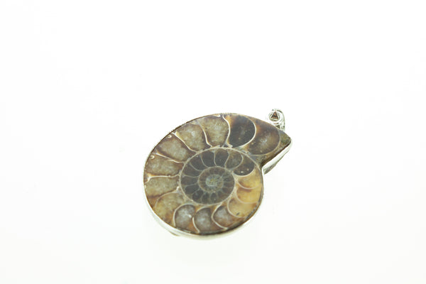 Nickel Plated Ammonite Pendant- Medium