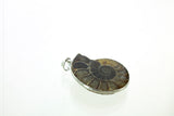 Nickel Plated Ammonite Pendant- Medium