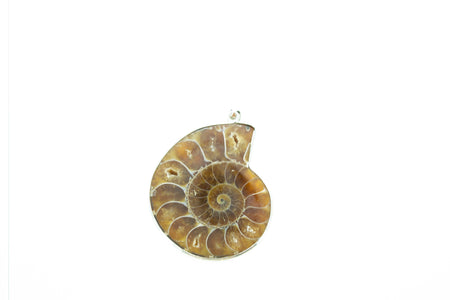 SS Fossilized Walrus Ivory Coiled Snake Pendant
