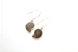 SS Ammonite Bezel Dangle Earrings
