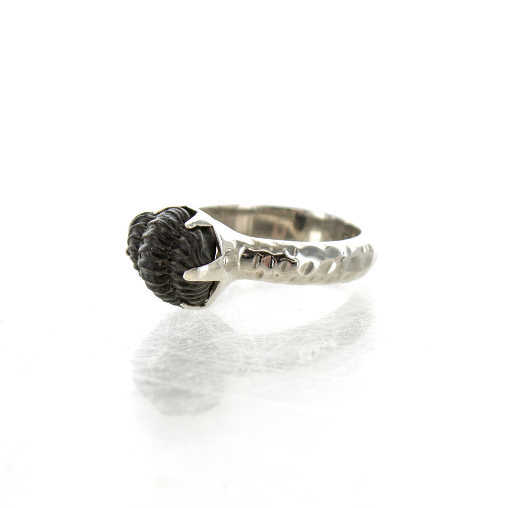 Trilobite ring on sale