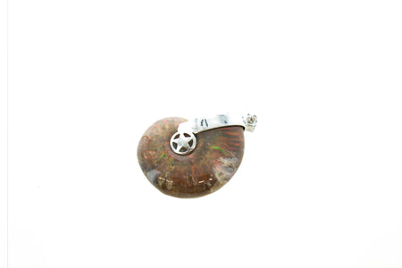 SS Ammonite Toggle Bracelet