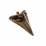 Large Megalodon Tooth Pendant