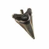 Large Megalodon Tooth Pendant