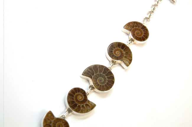 SS Ammonite Toggle Bracelet