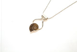 SS Ammonite Pendant and Chain