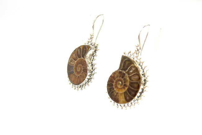 SS Ammonite Bead Wire Dangle Earrings