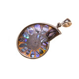 Sterling Silver Ammonite with Abalone Bezel Pendant