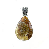SS Ammonite Pear Pendant with Scroll Bail