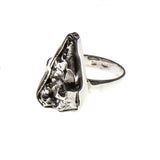 Sterling Silver Assorted Meteorite Nugget Ring