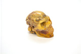 Yellow and Brown Jasper Skull Carving