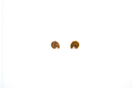 SS Amber Pear Drop Earrings