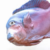 Ceramic Wall Art Iridescent Fish
