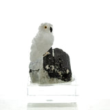Carved White Quartz Snowy Owl on Black Tourmaline Sculpture
